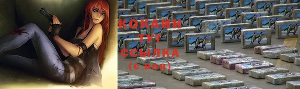 соль ск Алексин