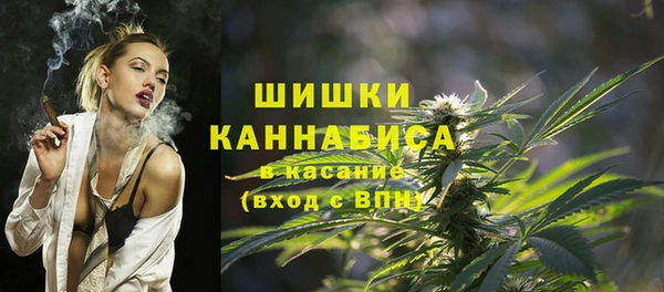 соль ск Алексин