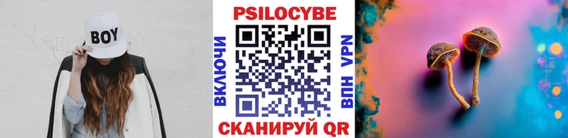 Галлюциногенные грибы Psilocybine cubensis  Переславль-Залесский 